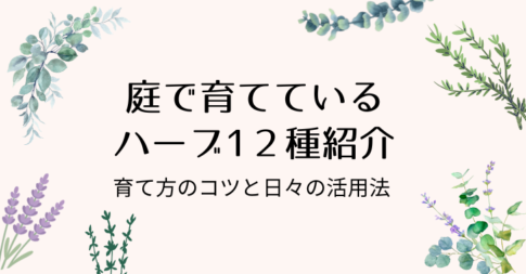 ハーブ
