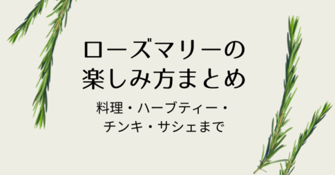 ローズマリーアイキャッチ