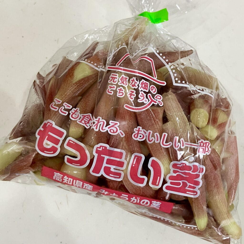 茎ミョウガ