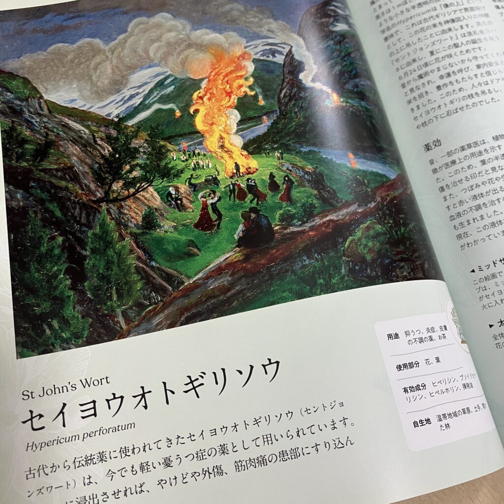 世界のハーブ