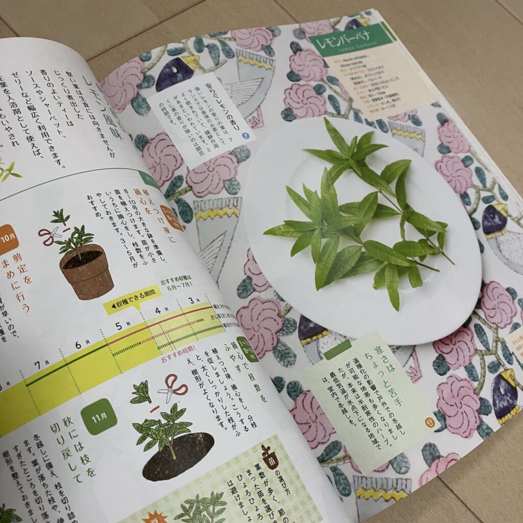 まいにちハーブ