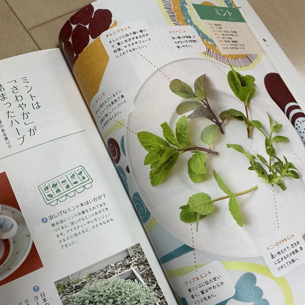 まいにちハーブ