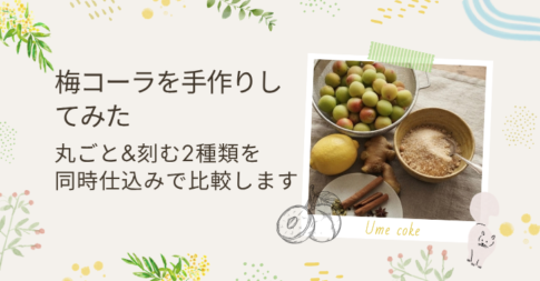 梅コーラ作ってみた