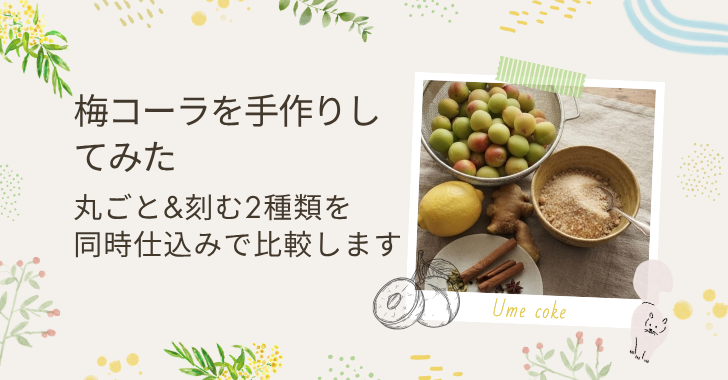 梅コーラ作ってみた