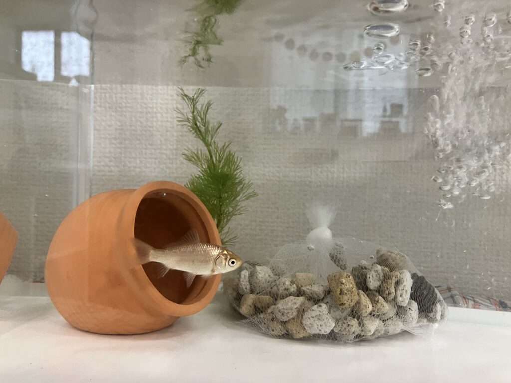 GEXスリムアクアセット500