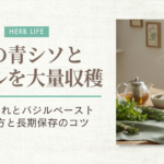 青シソダレ・バジルペースト