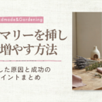 ローズマリー挿し木