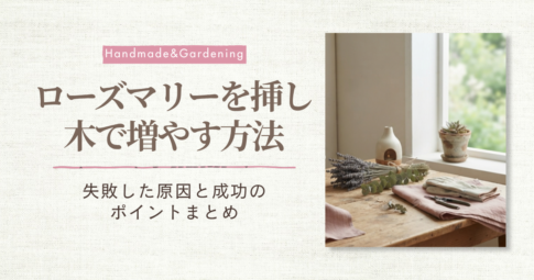 ローズマリー挿し木