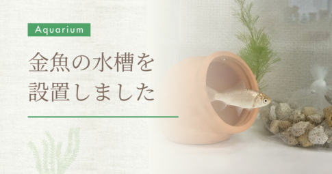 金魚の水槽を設置しました