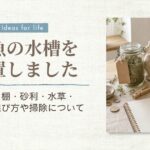 金魚飼育02