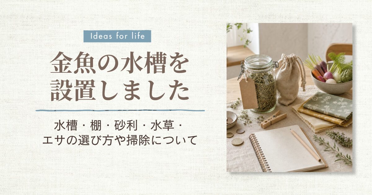 金魚飼育02