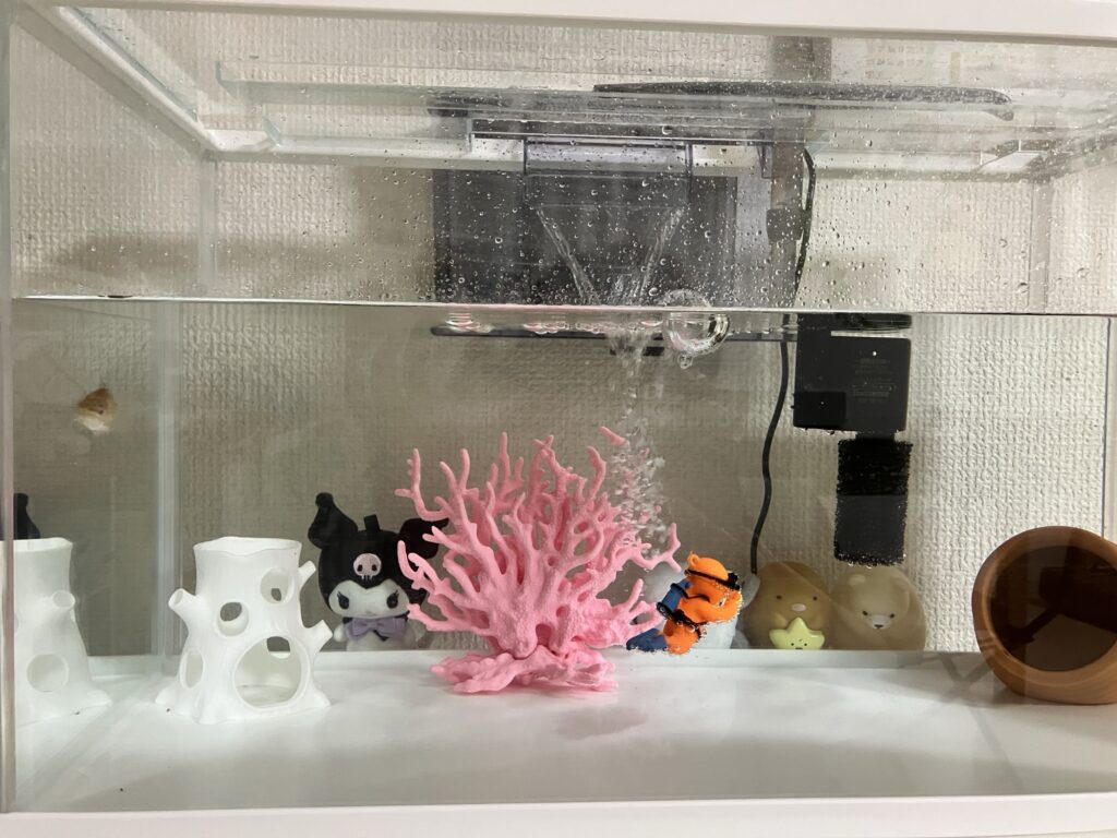 金魚水槽