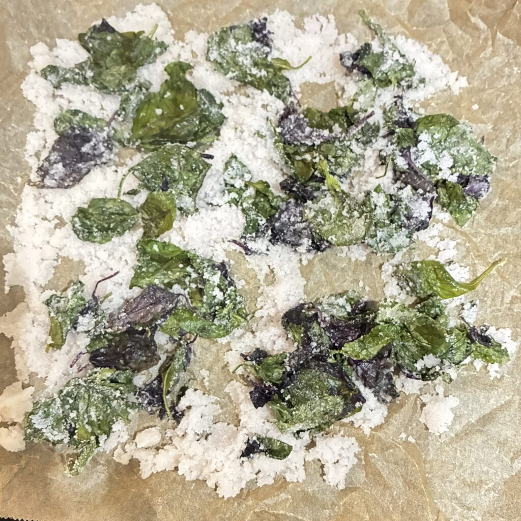 バジルソルト