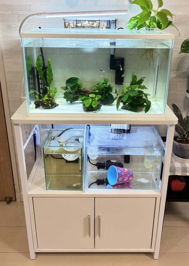 熱帯魚　水槽台
