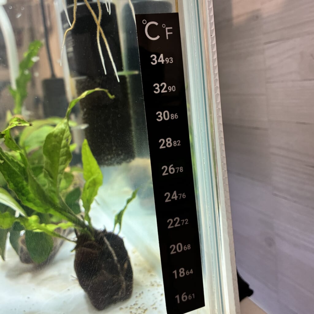 水槽　温度計