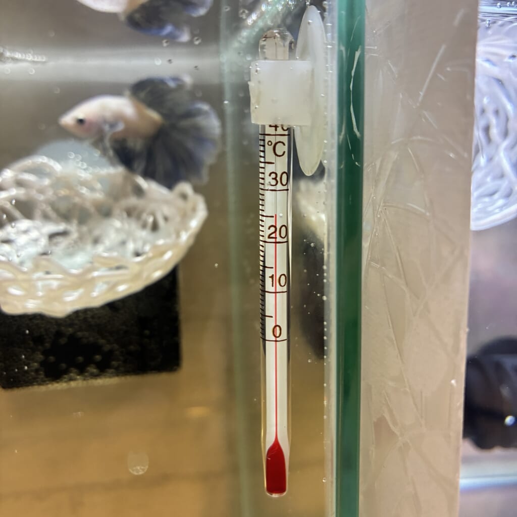 水槽　温度計